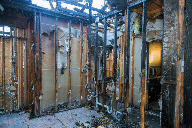 Professional Smoke Damage Removal technician working in Milaca, MN